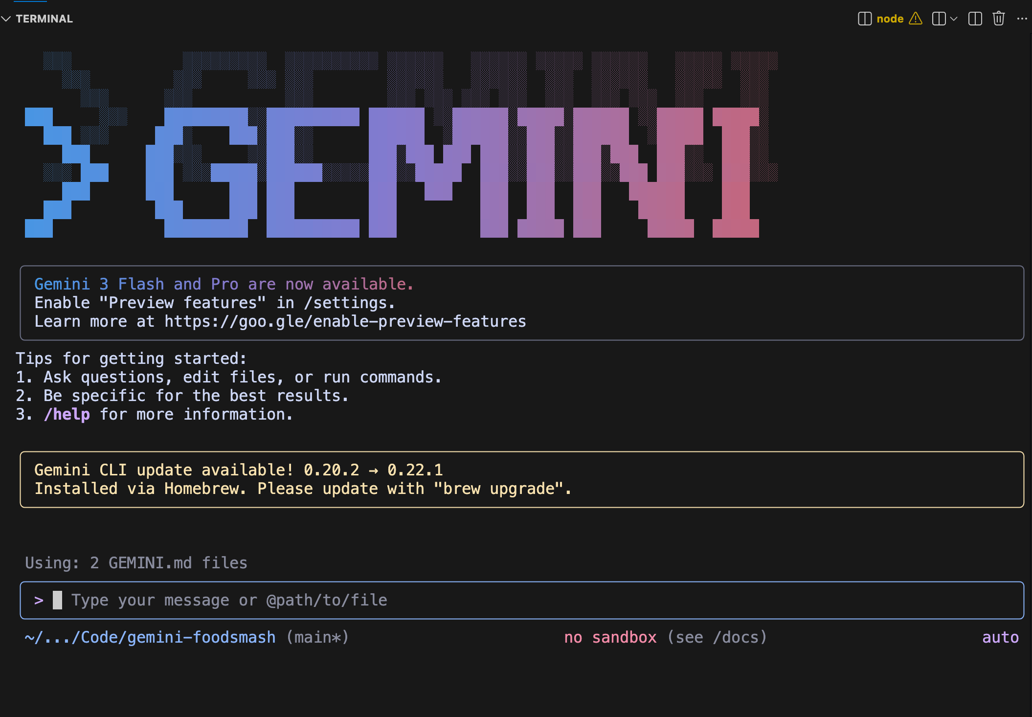 Google Gemini CLI