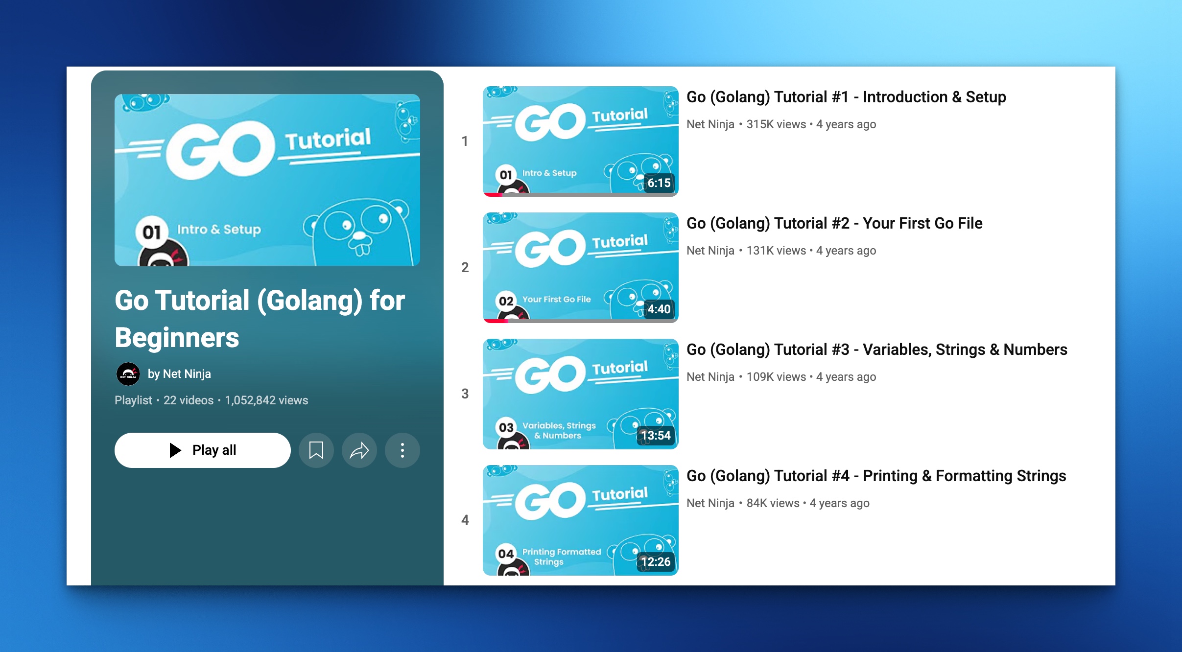 Net Ninja Go Tutorials