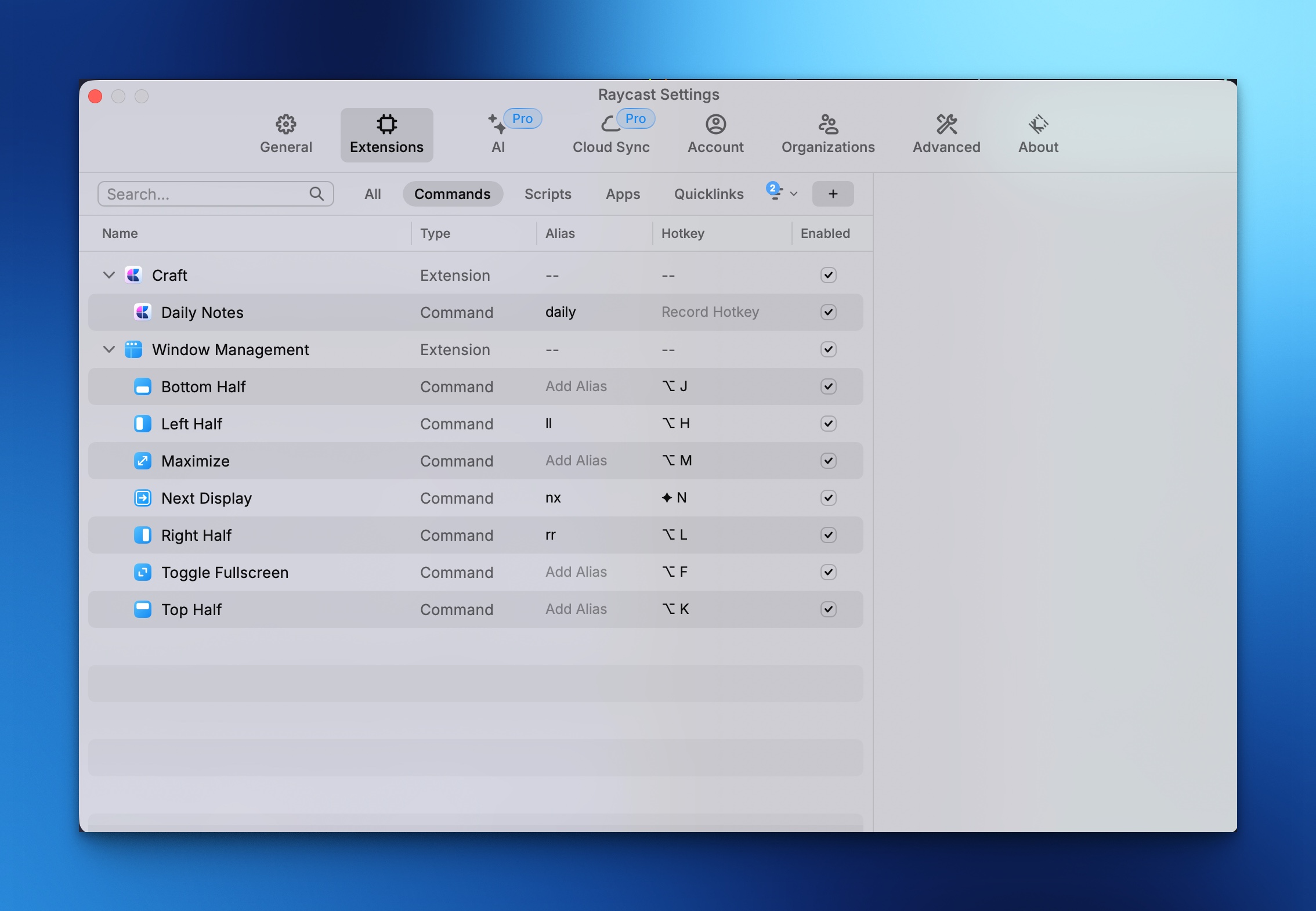 Raycast Window management