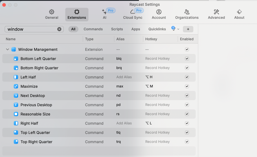 Raycast Window positioning