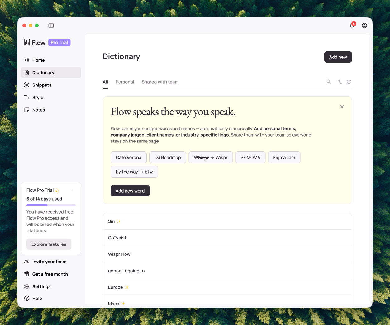 WisprFlow Dictionary